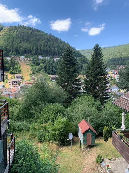 Gemuetliches Einzimmer-Apartment 33 Bad Wildbad Esterno foto