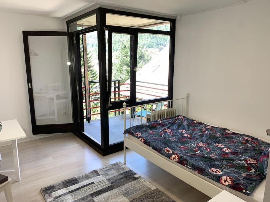 Gemuetliches Einzimmer-Apartment 33 Bad Wildbad Esterno foto