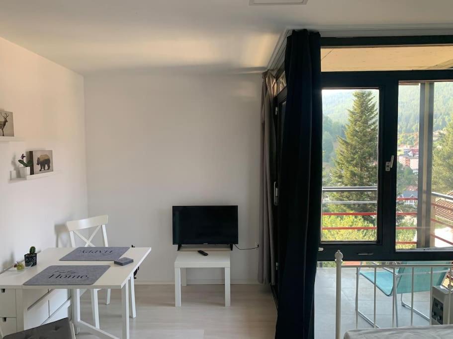 Gemuetliches Einzimmer-Apartment 33 Bad Wildbad Esterno foto
